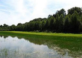 lerelaisdelagodasse-activites-la-dombes