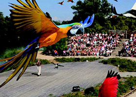lerelaisdelagodasse-activites-parc-des-oiseaux